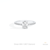 Elongated Cushion Cut Hidden Halo Ring