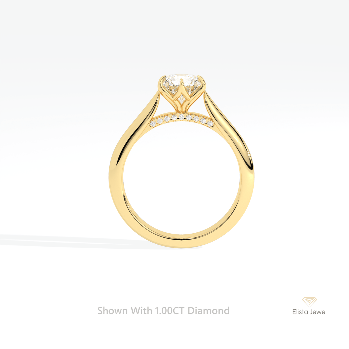 Round Cut Accent Engagement Lab Grown Diamond Ring in 14K White Gold - Top View